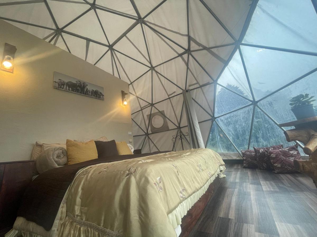 Poas Volcano Observatory Lodge & Glamping Poasito Exteriér fotografie